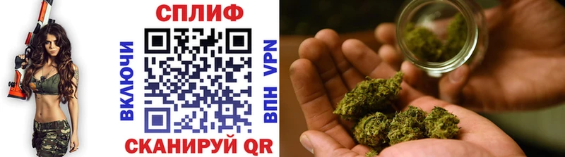 ГАШ Малоярославец