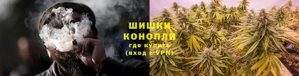 гидра Арсеньев