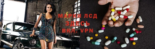 гидра Арсеньев